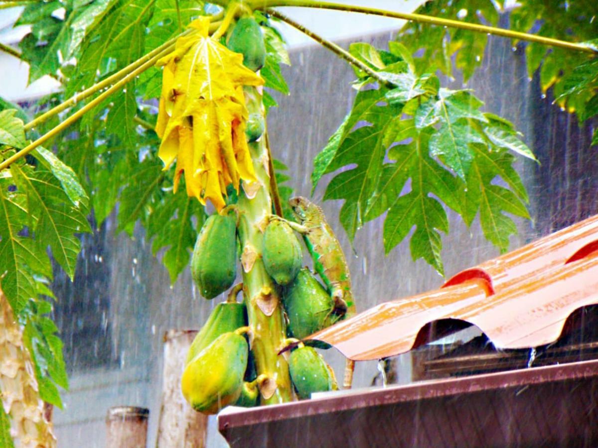 Cabanas Colindas Panama-Stad Buitenkant foto